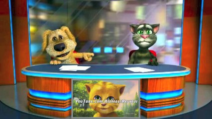 funny clip dog end cat cartoon playing - game show