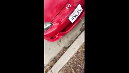 My dad does a good deed...