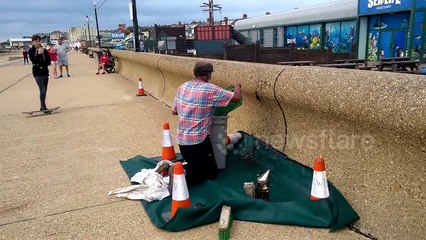 Man removes swarm of bees from UK promenade