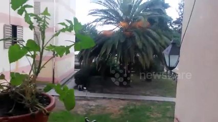 Strange noises recorded on subsoil Acatzingo, Puebla