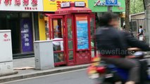 Stray kittens find a home in a phonebox in China