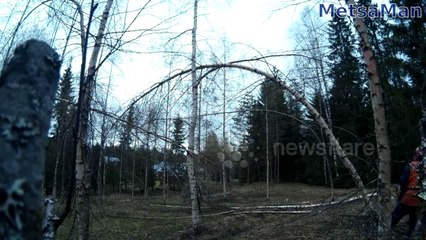 Driving Chainsaw - Cut down Fail