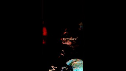 Cat is allergic to moustache