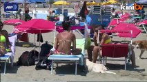 Life's a beach for Italy's dogs