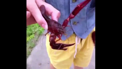 Bruh vine compilation