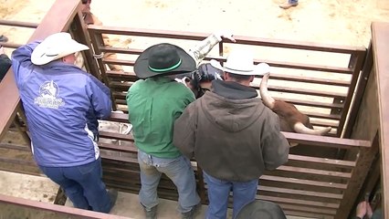 Utah High School Rodeo-Bullriding-Emery Rodeo, Castle Dale 4.14.2012.mp4