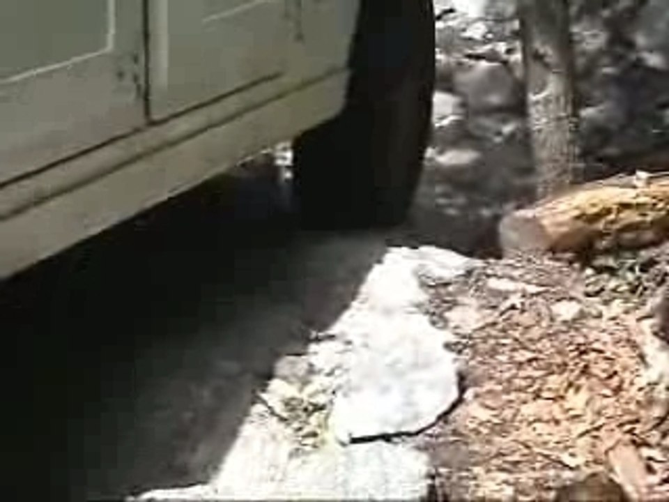 H1 (3)