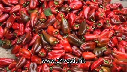 VANE PIPERKA ZA OTKUP 10 08