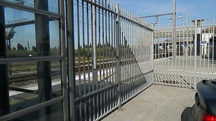 ter en paca saint martin de crau