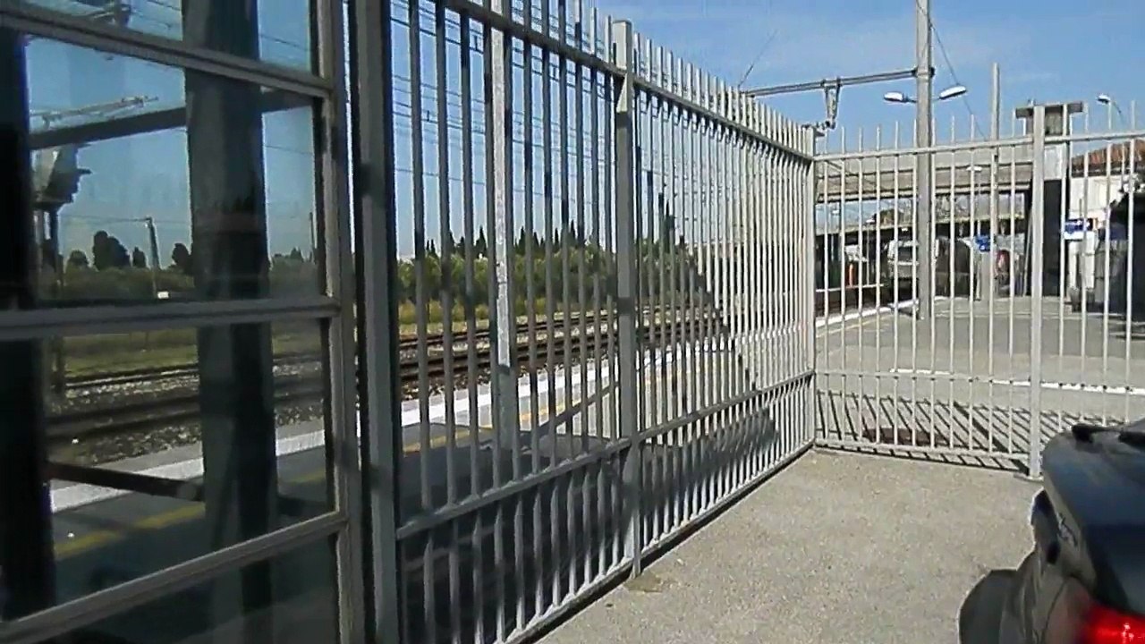 ter en paca saint martin de crau