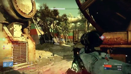 Destiny montage No. 1