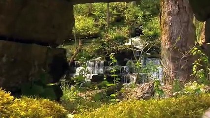 Equitrekking's Kentucky Trail Rides