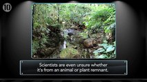10 Discoveries Unexplained By Science