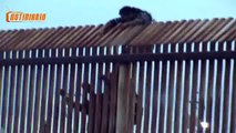 Indocumentados intentando cruzar al otro lado de la frontera notidiario