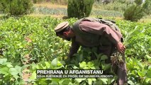 Soja kao rješenje za problem neuhranjenosti u Afganistanu