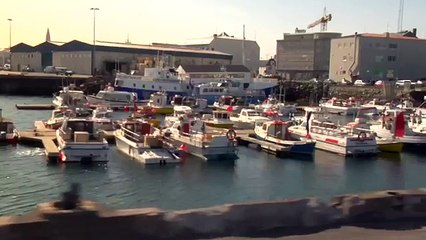 Iceland Horse Riding Adventures