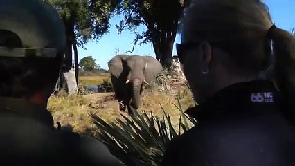 Equitrekking Botswana Promo