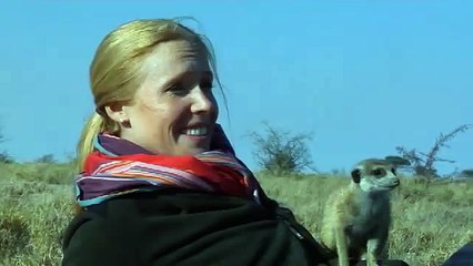 Meerkats in Botswana: Equitrekking Behind the Scenes