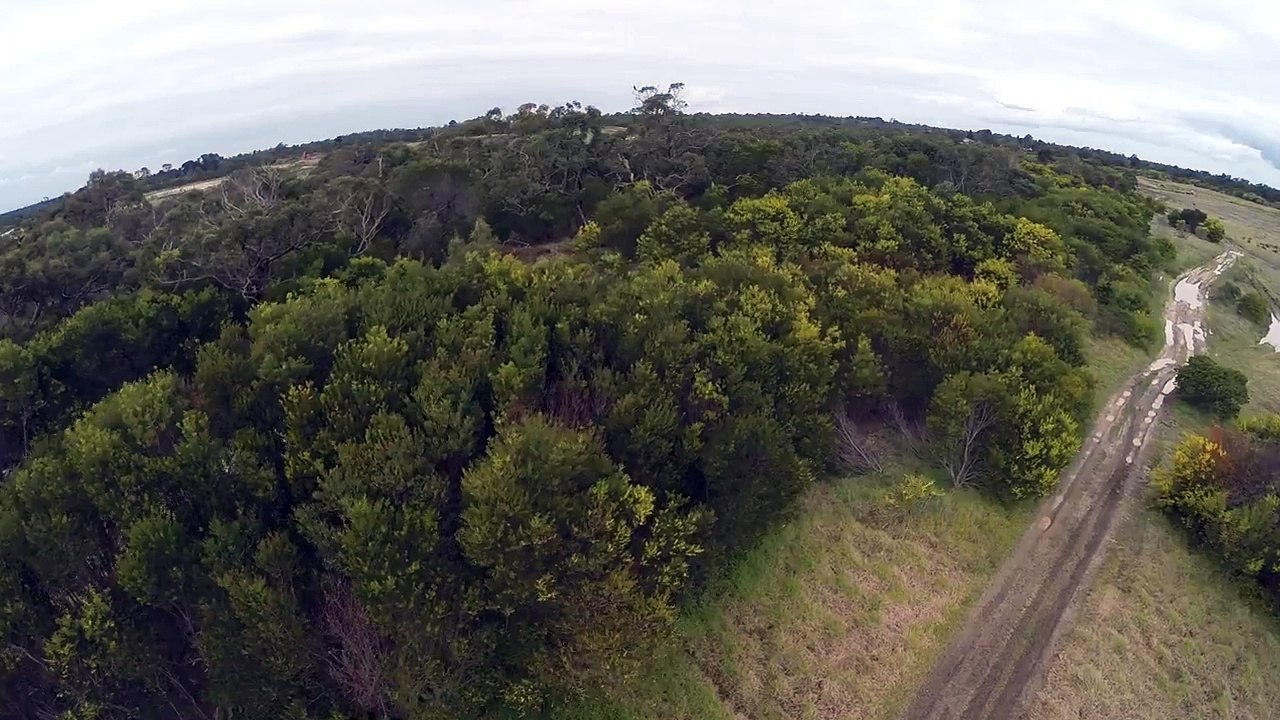 Wedge-Tailed Eagle Collides With Drone in Australian Skies