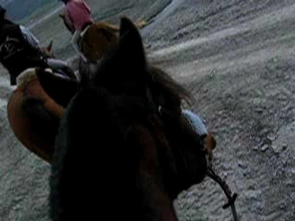 Galop sur le lac
