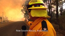 Fighting Bush-Fires With Leading Edge Information Technology