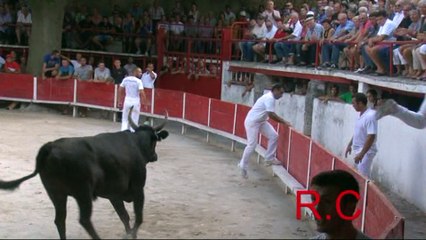 PALUDS DE NOVES  PLO QUILHOUS F GUILLIERME