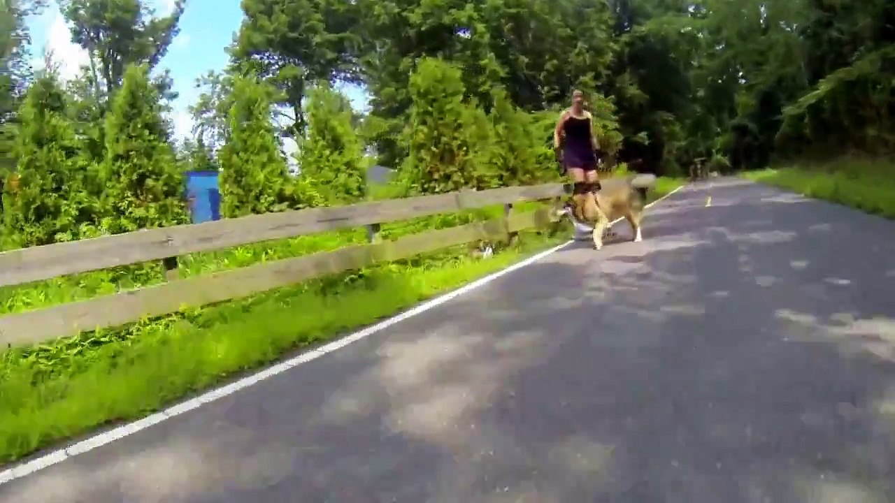Rollerblading with a Husky