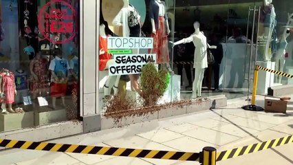 Swarm of bees at Topshop, Victoria