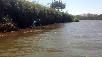 Man kisses a wild crocodile in Costa Rica