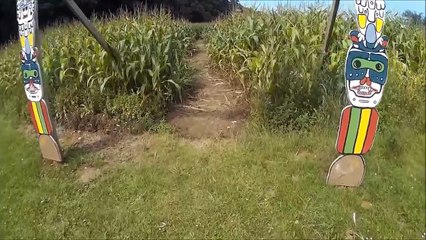 Quex Park Maize Maze 2014. Drone camera footage.