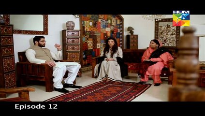 Ishq ibadat episode no 12 (10th august) By humtv