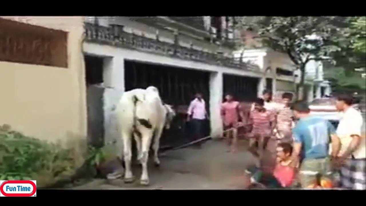 Funny videos 2015 india _ Awesome funny prank indian 2015