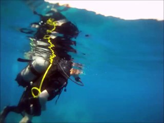 plongée aux "îles" le 8 août 2015