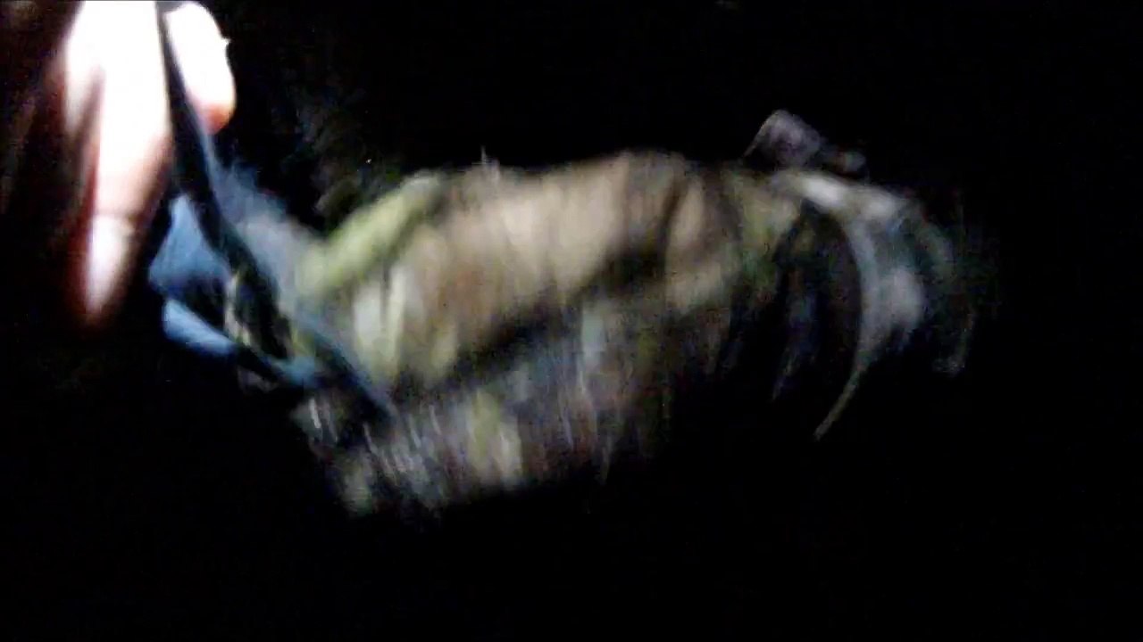 Sortie baguage bécasse des bois dans la Vienne le 12/12/2014