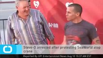 SteveO Arrested After Protesting SeaWorld Atop Crane