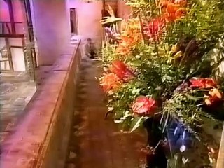 Noel Edmonds Obituary