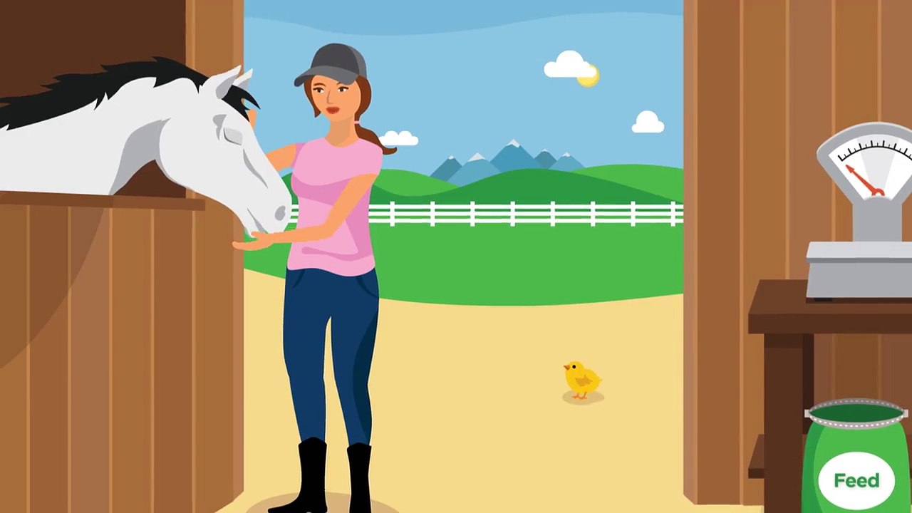 Cargill Nutrena: How To Help Your Horse Gain Weight