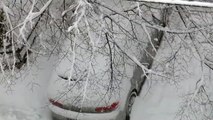 Schnee Österreich 2014