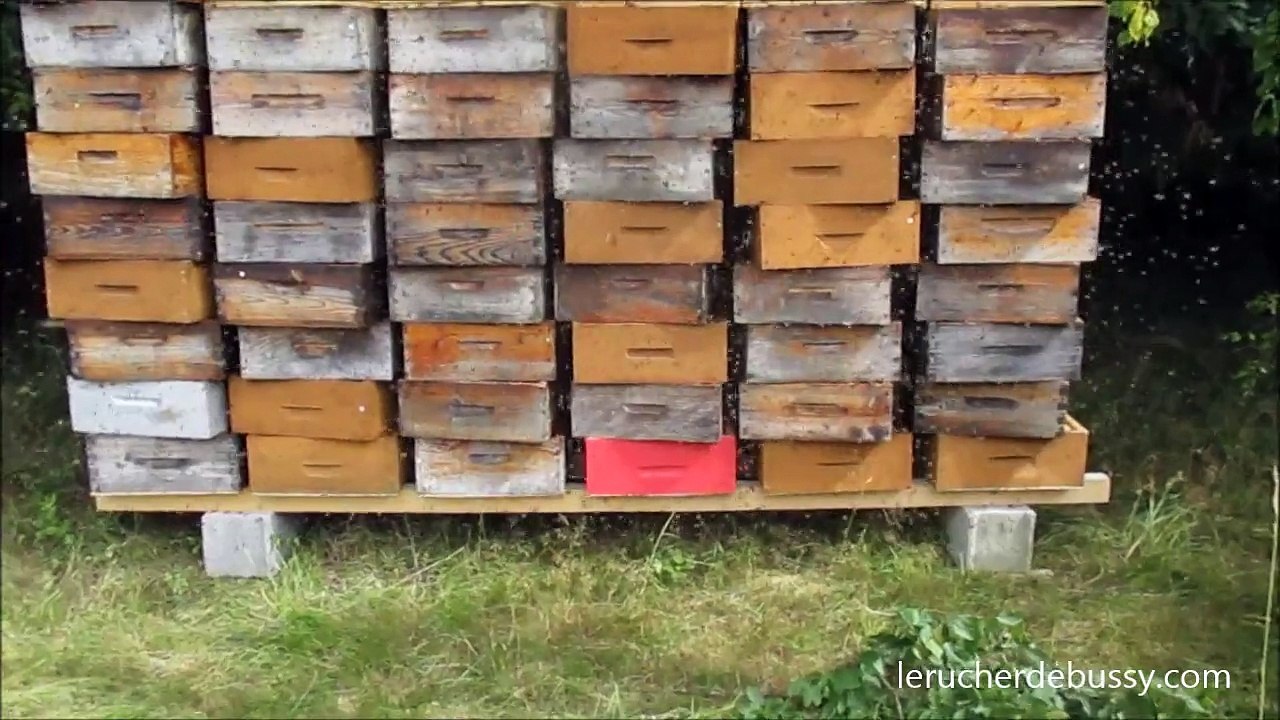 lechage des hausses