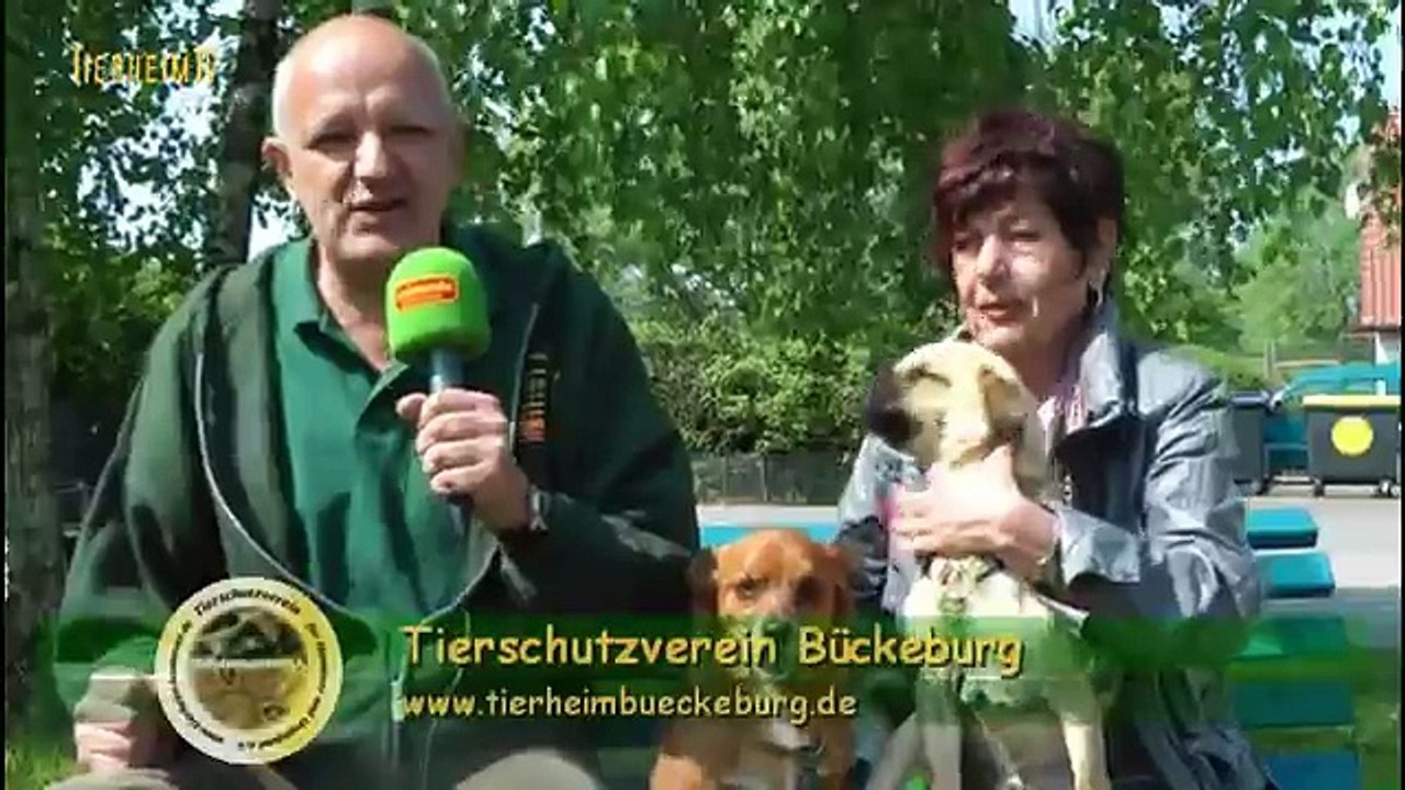 Tierheim Bückeburg - TierheimTV unterwegs in NDS