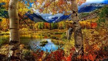 Beautiful Landscapes (HD1080p)