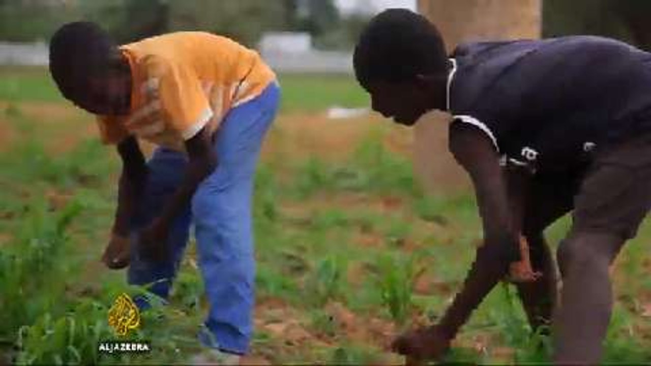 Ancient Muslim sect helps Senegal's homeless children