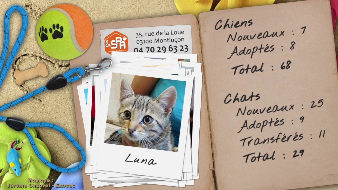 Un mois au refuge : juillet 2015