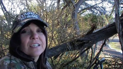 Impala Hunt At Wild Wildebeest Safaris, South Africa