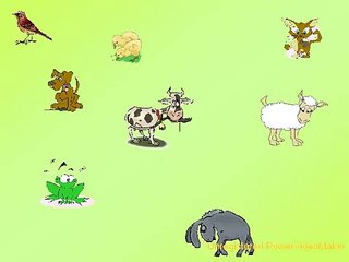Il verso degli animali