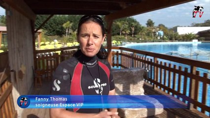 Marineland TV - Reportage N°64 - Faites la connaissance de la très attachante otarie DURBAN