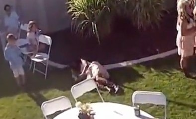 Bridesmaid Passes Out Three Times During Portraits