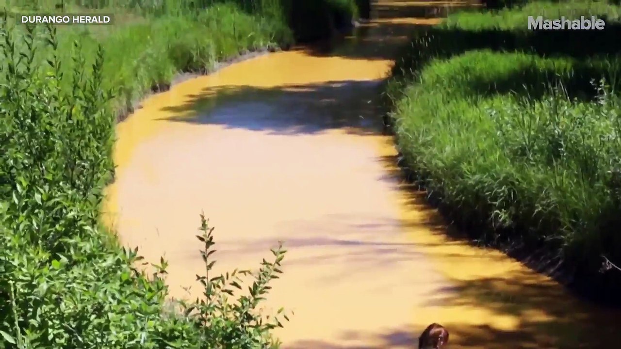 3 million gallons of toxic water spilled by EPA...