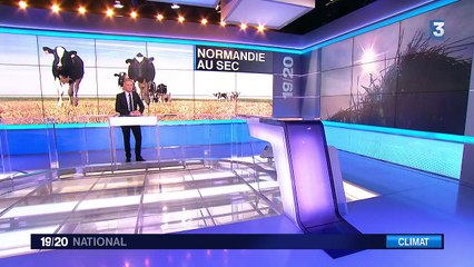 Normandie : la sécheresse frappe les agriculteurs