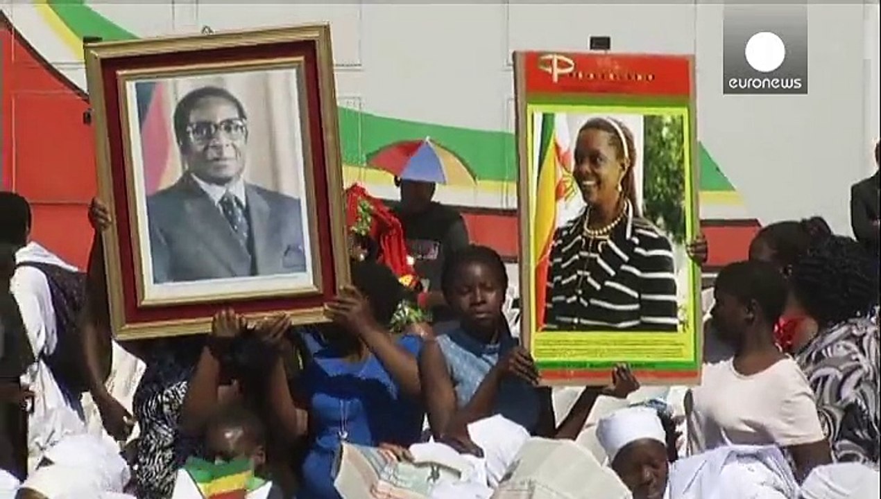 "Un patrimonio dello Zimbabwe": Mugabe condanna l'uccione del leone Cecil